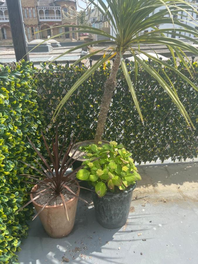 Beautiful Apartment,No 1, With Parking 伊尔弗勒科姆 外观 照片